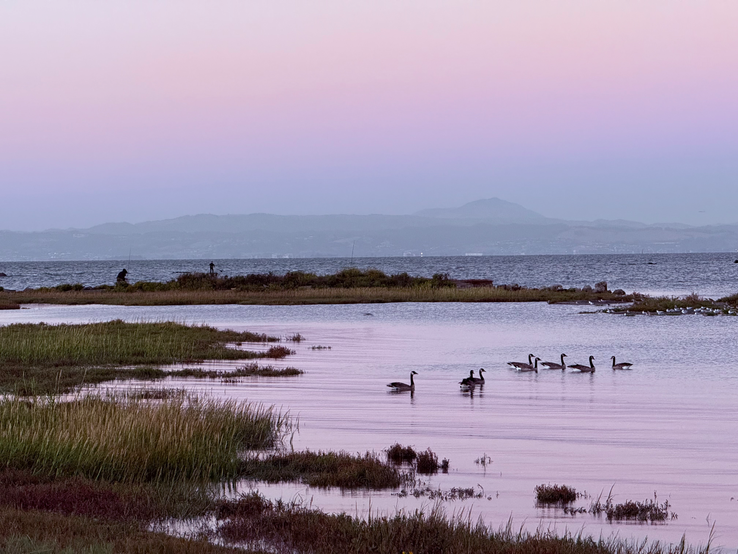 Photo by @bexouce: It’s a gaggle, wanting to be watercolored